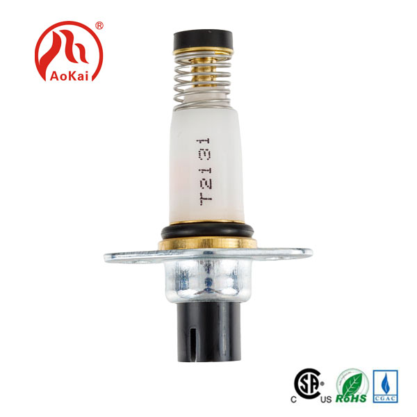 Kiu formo estos la estonta disvolva tendenco de solenoidaj valvoj?